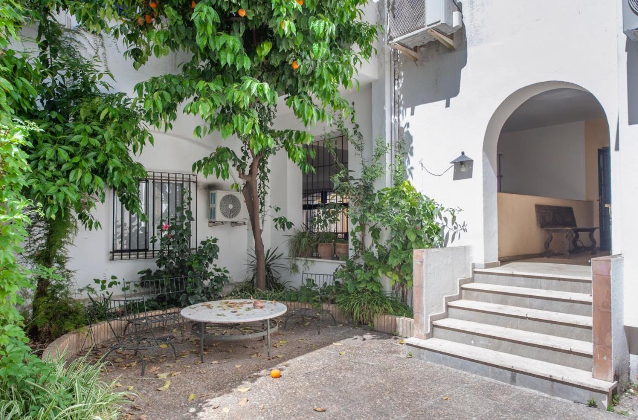 O&L Aire - Spacious And Bright Apartment In The Heart Of 塞维利亚 外观 照片